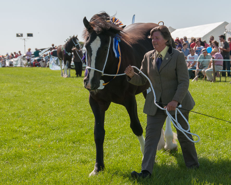 20130822Holsworthy-Show0006.jpg