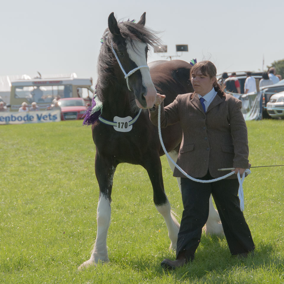 20130822Holsworthy-Show0008.jpg