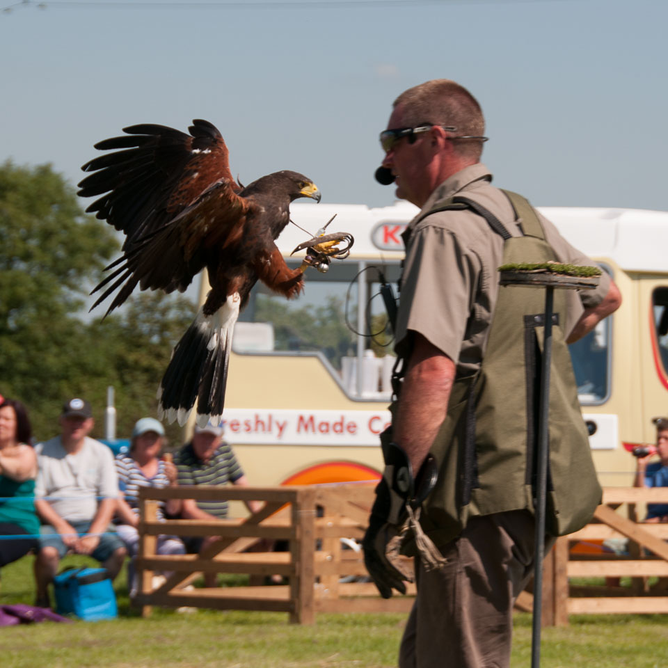 20130822Holsworthy-Show0037.jpg