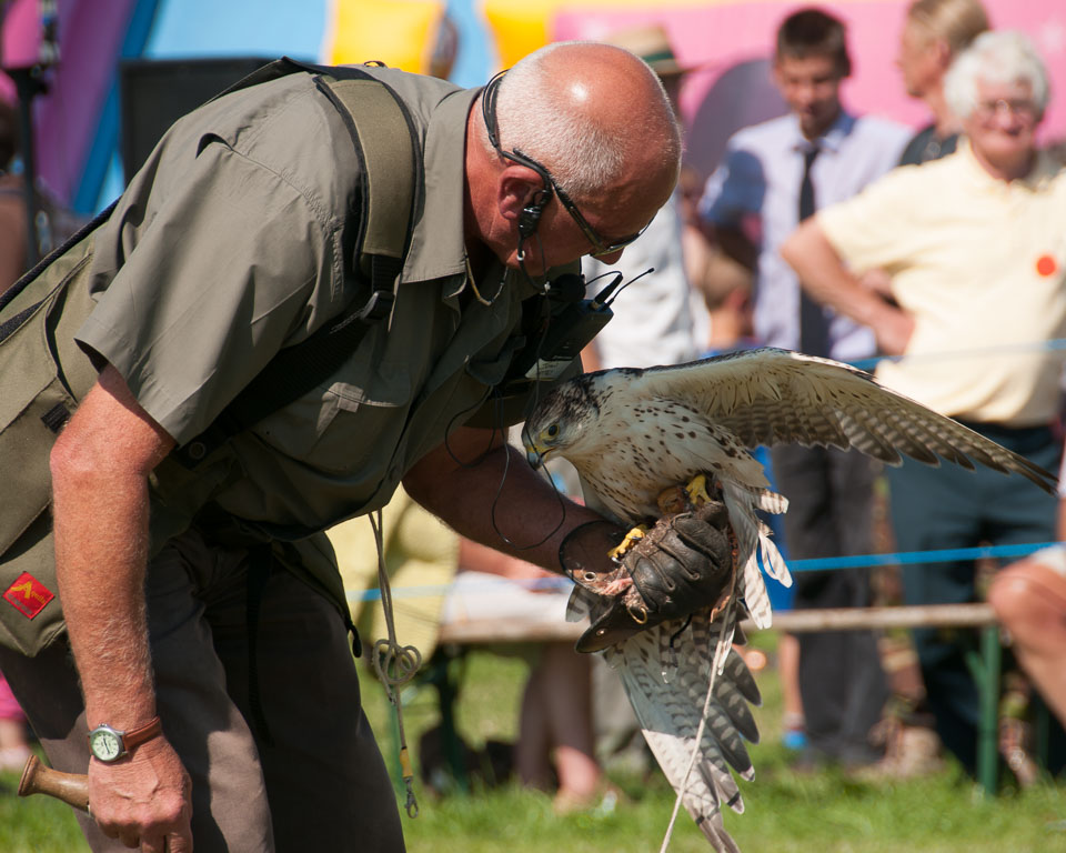 20130822Holsworthy-Show0087.jpg