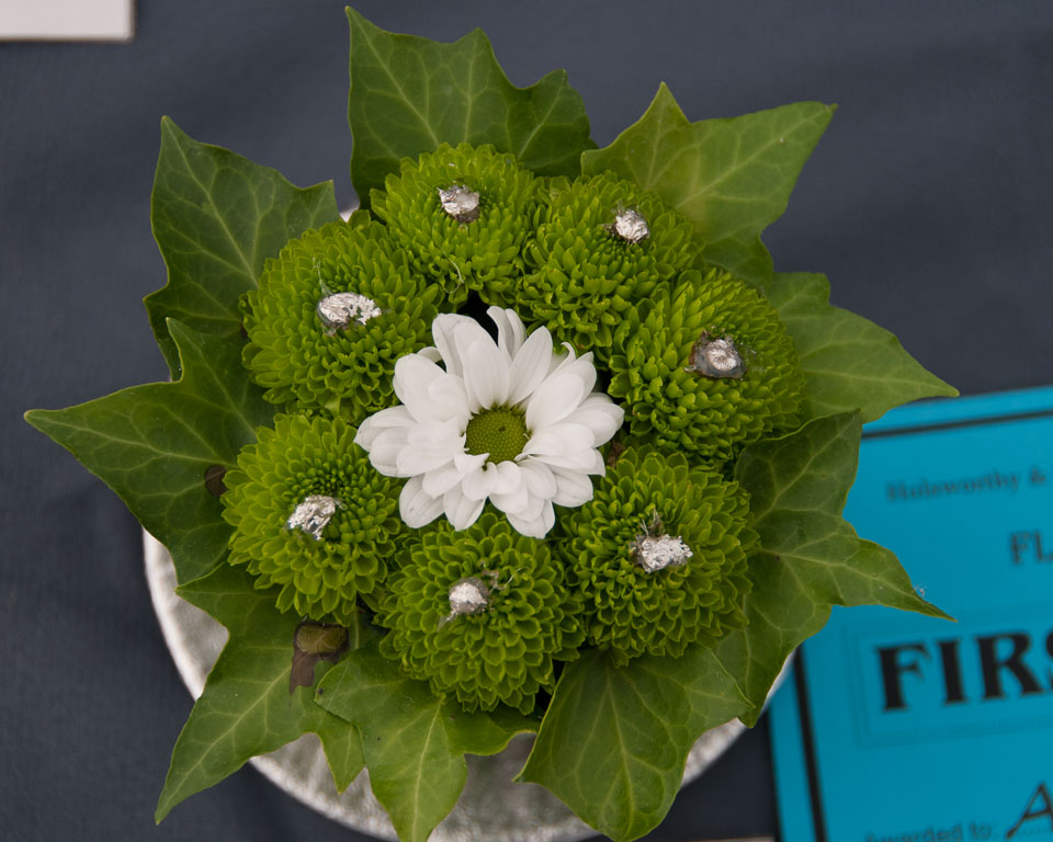 20130822Holsworthy-Show0100.jpg