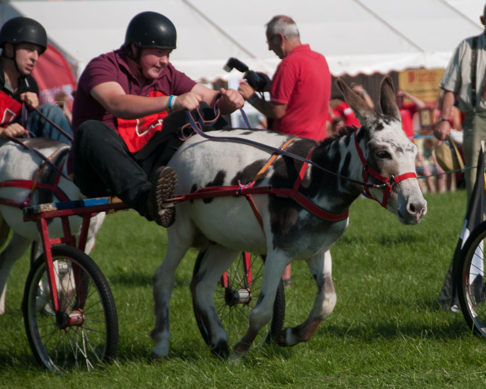 20130822Holsworthy-Show0109.jpg