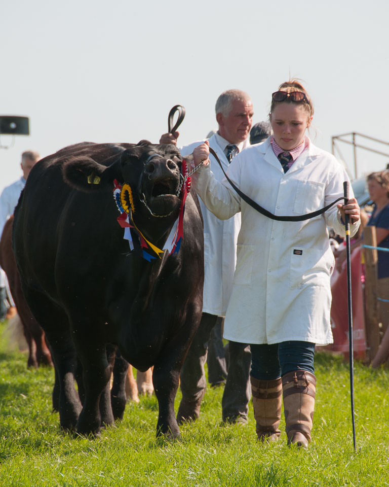 20130822Holsworthy-Show0133.jpg