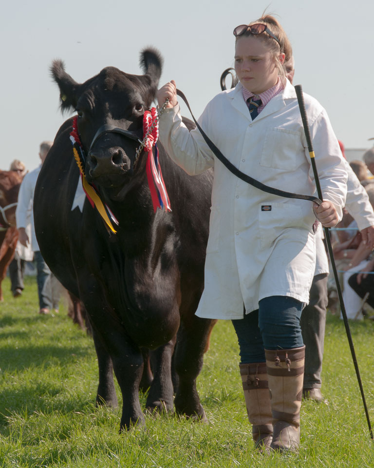 20130822Holsworthy-Show0135.jpg