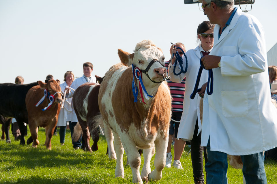 20130822Holsworthy-Show0142.jpg