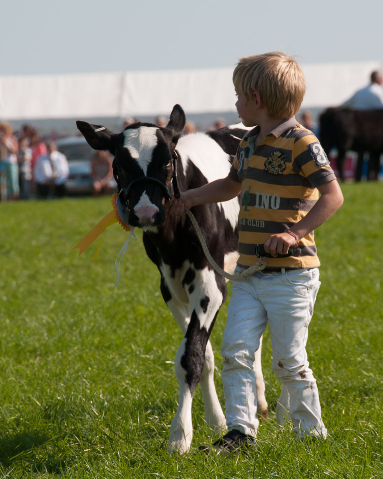 20130822Holsworthy-Show0146.jpg