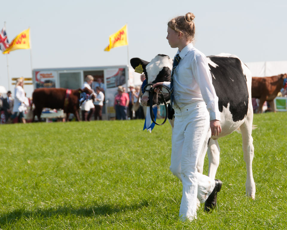 20130822Holsworthy-Show0148.jpg