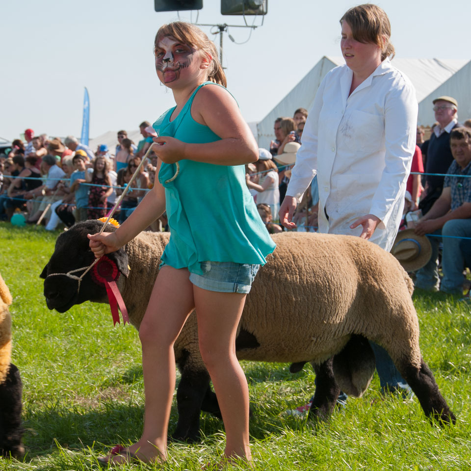 20130822Holsworthy-Show0149.jpg