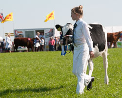 20130822Holsworthy-Show0148.jpg