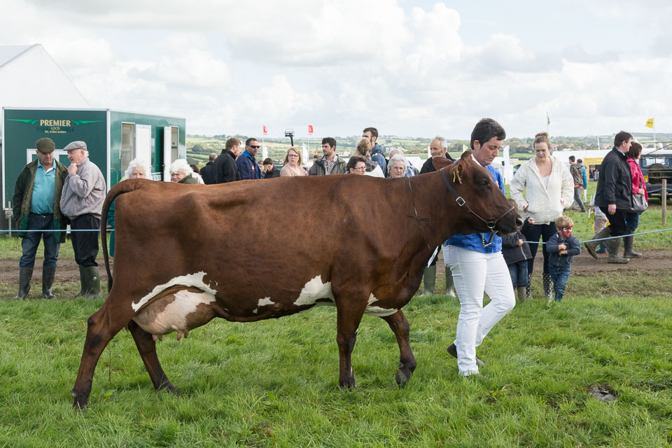 20150827HolsworthyShow0006.jpg