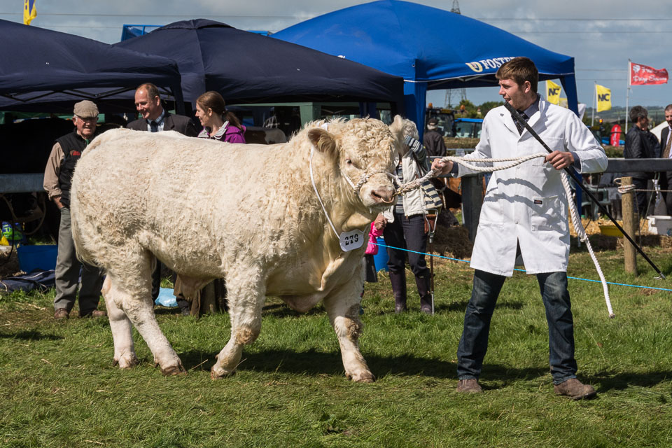 20150827HolsworthyShow0060.jpg