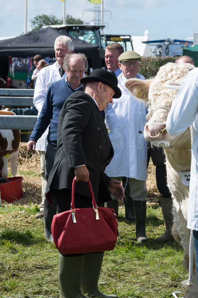 20150827HolsworthyShow0068.jpg