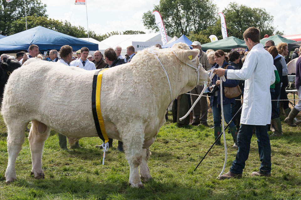 20150827HolsworthyShow0070.jpg