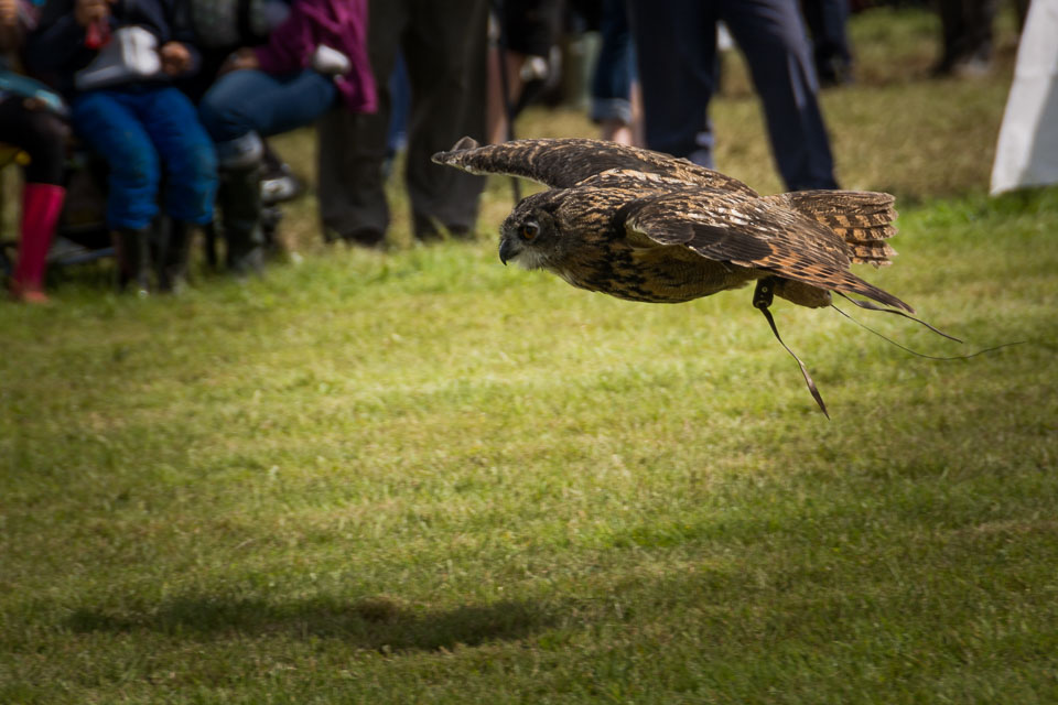 20150827HolsworthyShow0105.jpg