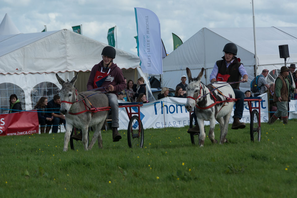 20150827HolsworthyShow0140.jpg