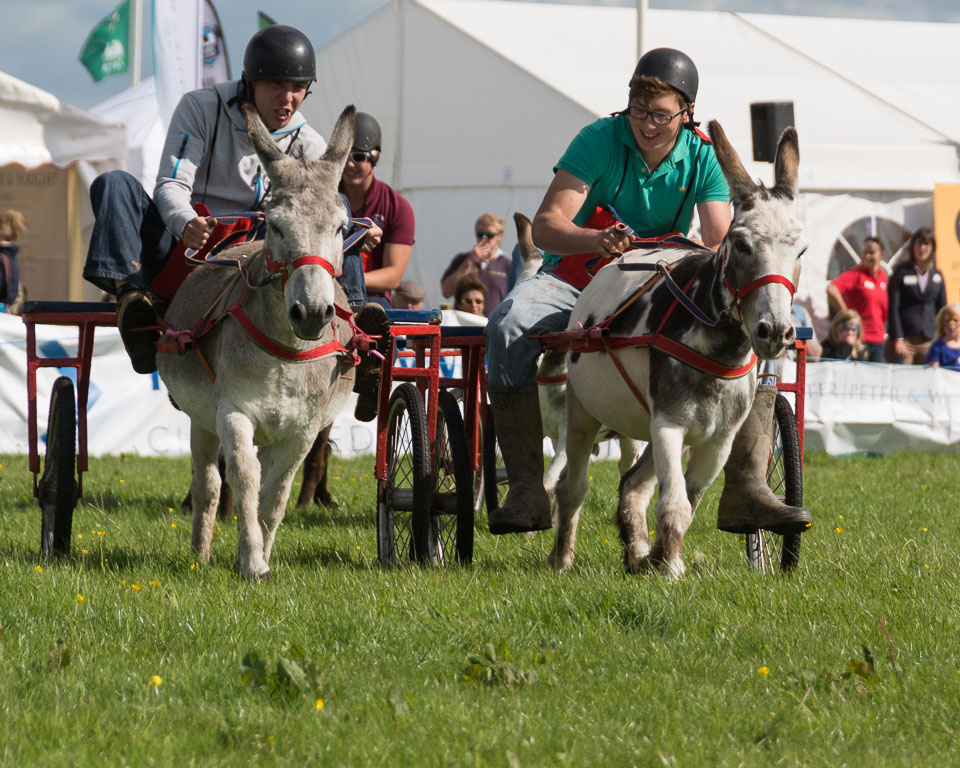 20150827HolsworthyShow0161.jpg