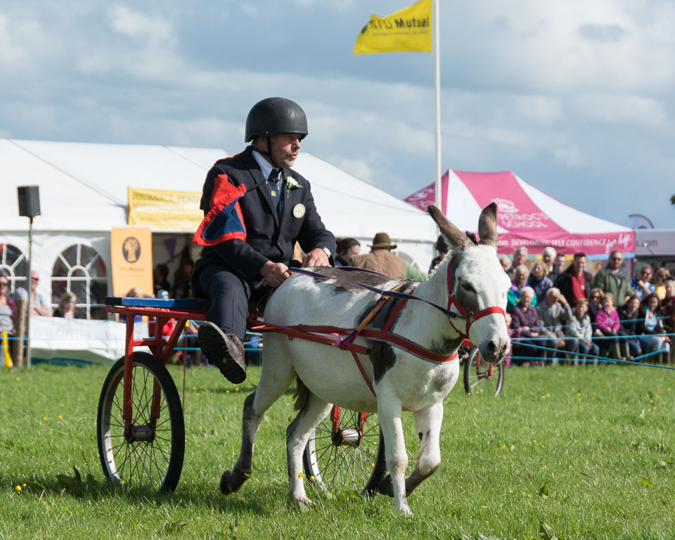 20150827HolsworthyShow0178.jpg