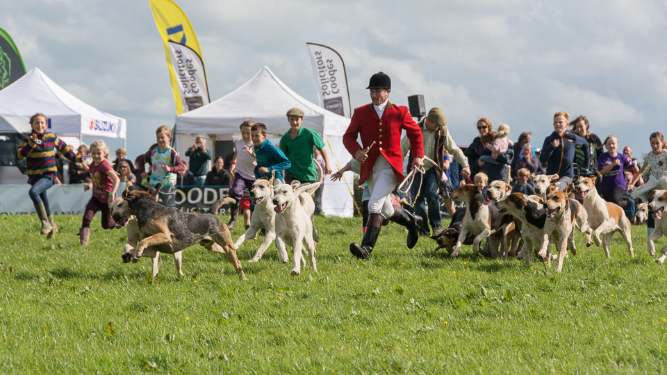 20150827HolsworthyShow0208.jpg