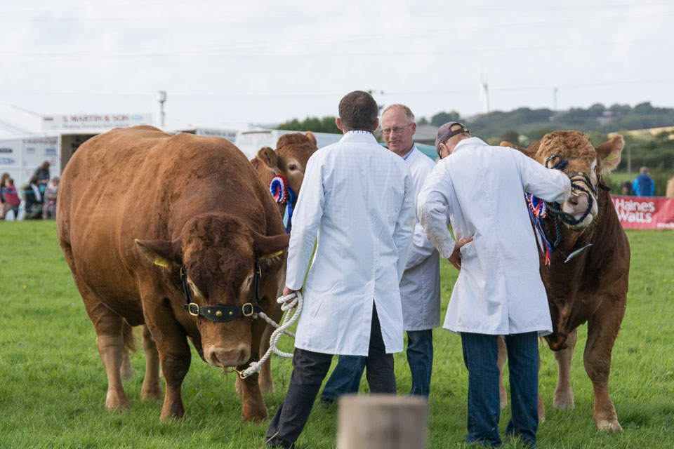 20150827HolsworthyShow0214.jpg