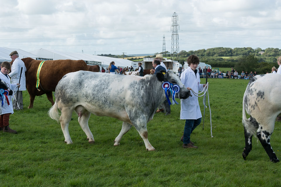 20150827HolsworthyShow0222.jpg