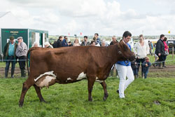 20150827HolsworthyShow0006.jpg