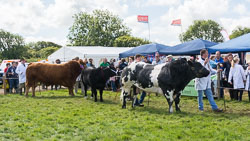 20150827HolsworthyShow0056.jpg