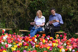 20260408TulipFest0013.jpg