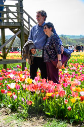 20260408TulipFest0015.jpg