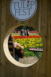 20260408TulipFest0032.jpg