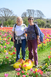20260408TulipFest0044.jpg