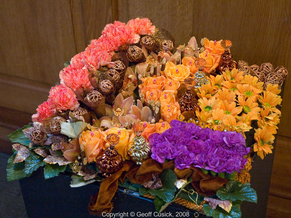 20081129Newport-Flowers0050.jpg