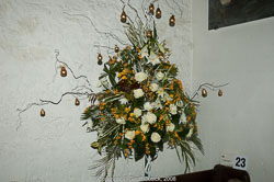 20081129Newport-Flowers0016.jpg