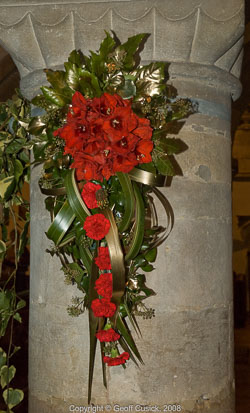 20081129Newport-Flowers0021.jpg 20081129Newport-Flowers0021.jpg