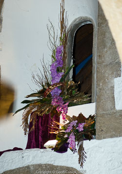 20081129Newport-Flowers0023.jpg 20081129Newport-Flowers0023.jpg