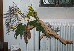 20081129Newport-Flowers0031.jpg 20081129Newport-Flowers0031.jpg