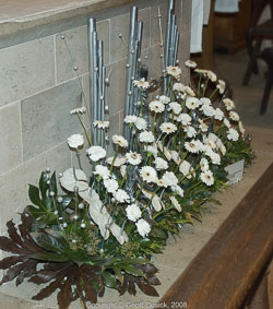 20081129Newport-Flowers0032.jpg 20081129Newport-Flowers0032.jpg