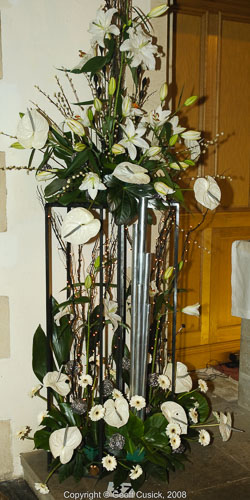 20081129Newport-Flowers0033.jpg 20081129Newport-Flowers0033.jpg