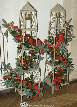 20081129Newport-Flowers0034.jpg 20081129Newport-Flowers0034.jpg