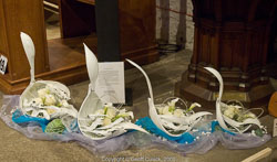 20081129Newport-Flowers0044.jpg 20081129Newport-Flowers0044.jpg