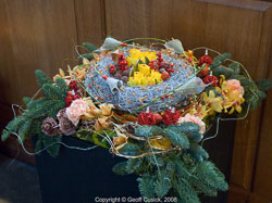 20081129Newport-Flowers0051.jpg 20081129Newport-Flowers0051.jpg