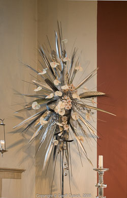 20081129Newport-Flowers0054.jpg 20081129Newport-Flowers0054.jpg