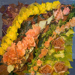 20081129Newport-Flowers0060.jpg 20081129Newport-Flowers0060.jpg