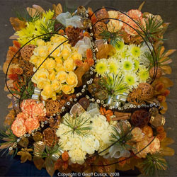 20081129Newport-Flowers0062.jpg 20081129Newport-Flowers0062.jpg