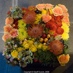 20081129Newport-Flowers0063.jpg 20081129Newport-Flowers0063.jpg