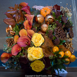 20081129Newport-Flowers0064.jpg 20081129Newport-Flowers0064.jpg