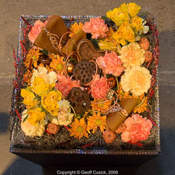 20081129Newport-Flowers0066.jpg 20081129Newport-Flowers0066.jpg