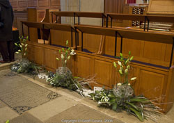 20081129Newport-Flowers0067.jpg 20081129Newport-Flowers0067.jpg