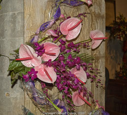 20081129Newport-Flowers0073.jpg 20081129Newport-Flowers0073.jpg