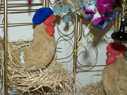 20081129Newport-Flowers0079.jpg 20081129Newport-Flowers0079.jpg