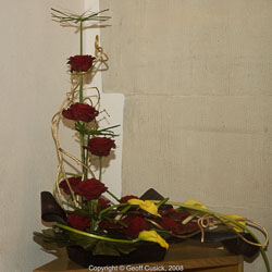 20081129Newport-Flowers0080.jpg 20081129Newport-Flowers0080.jpg